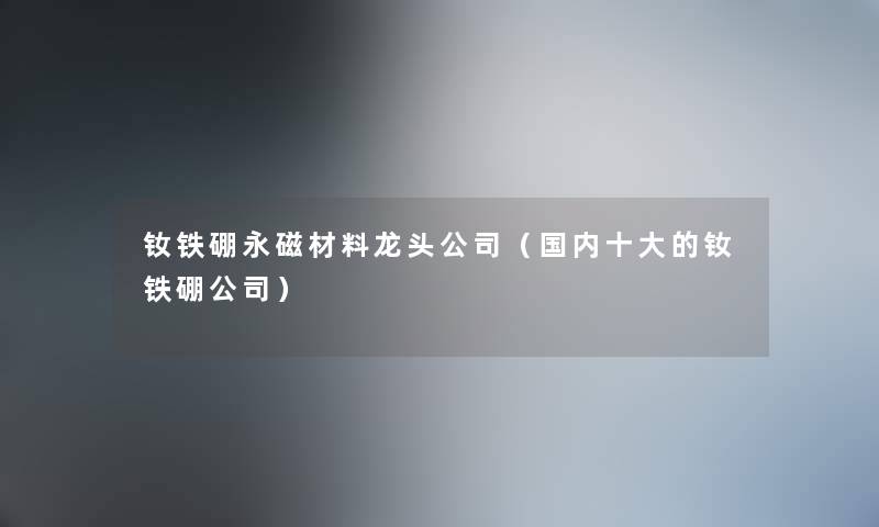 钕铁硼永磁材料龙头公司（国内一些的钕铁硼公司）