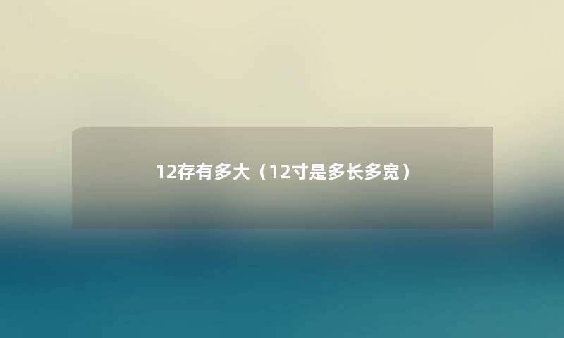 12存有多大（12寸是多长多宽）
