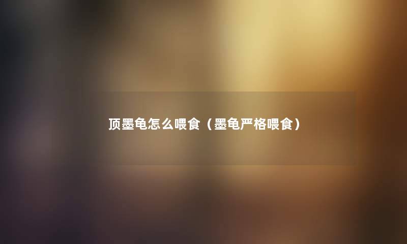 顶墨龟怎么喂食（墨龟严格喂食）