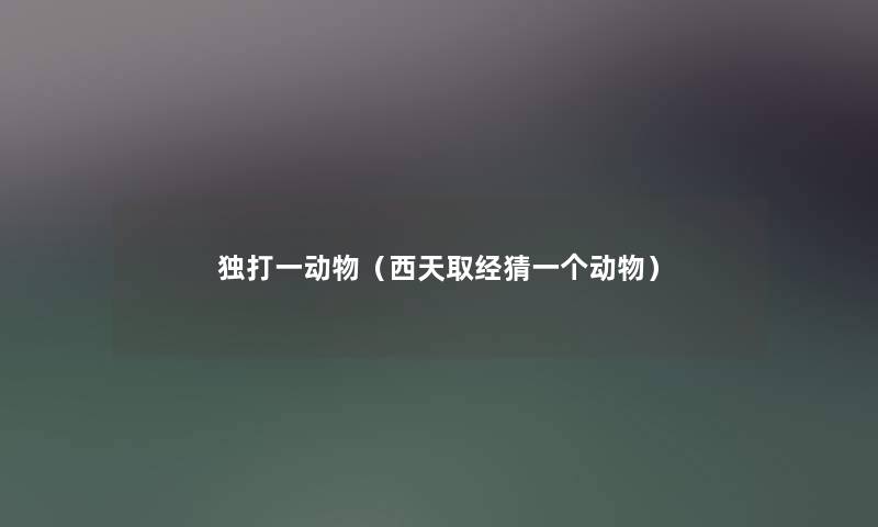独打一动物（西天取经猜一个动物）