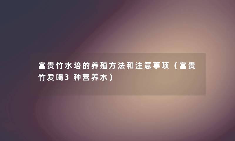 富贵竹水培的养殖方法和注意事项（富贵竹爱喝3种营养水）