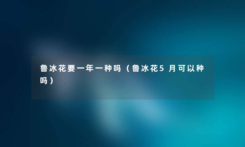 鲁冰花要一年一种吗（鲁冰花5月可以种吗）