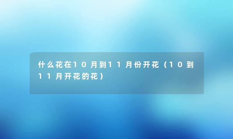 什么花在10月到11月份开花（10到11月开花的花）