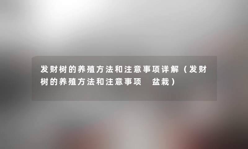 发财树的养殖方法和事项详解(发财树的养殖方法和事项 盆栽) 发财树的养殖方法和事项详解(发财树的养殖方法和事项 盆栽)