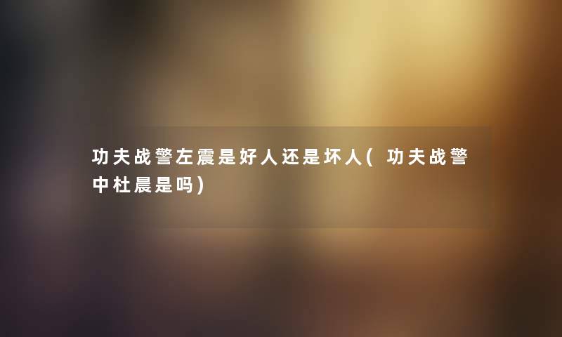 功夫战警左震是好人还是坏人(功夫战警中杜晨是吗) 功夫战警左震是好人还是坏人(功夫战警中杜晨是吗)