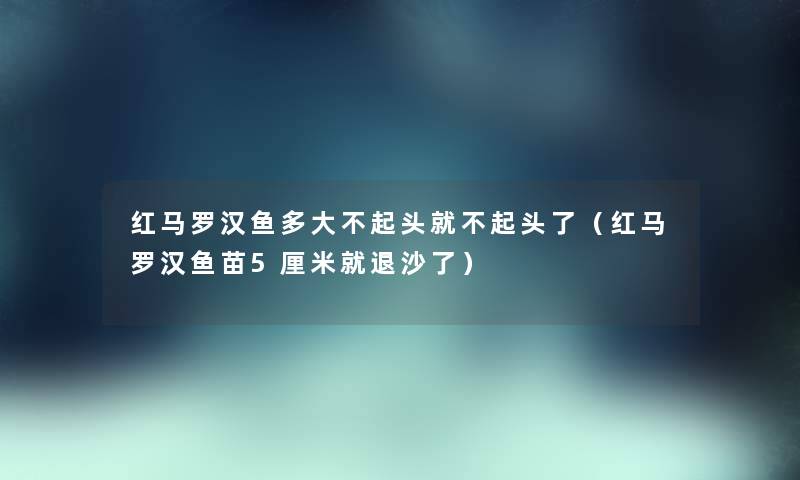 红马罗汉鱼多大不起头就不起头了（红马罗汉鱼苗5厘米就退沙了）