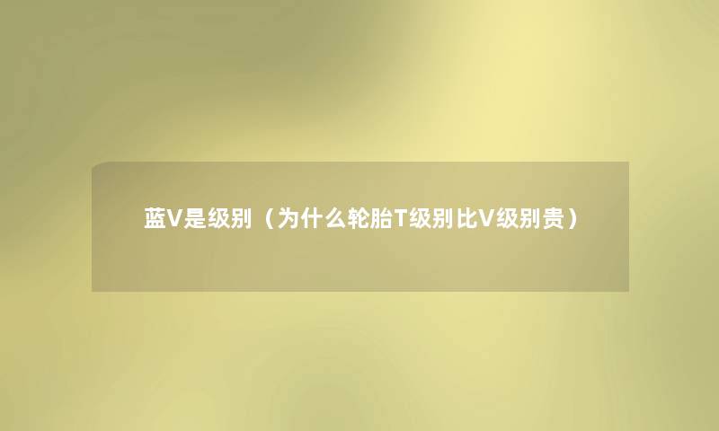 蓝V是级别(为什么轮胎T级别比V级别贵) 蓝V是级别(为什么轮胎T级别比V级别贵)