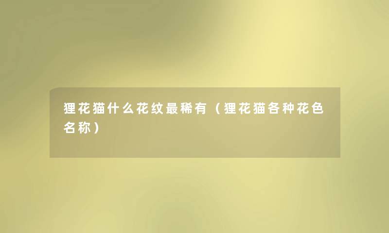 狸花猫什么花纹稀有(狸花猫各种花色名称) 狸花猫什么花纹稀有(狸花猫各种花色名称)