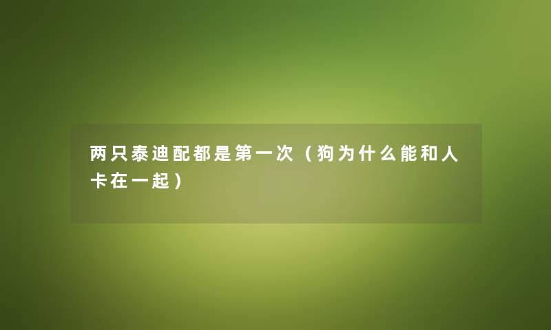 两只泰迪配都是第一次(狗为什么能和人卡在一起) 两只泰迪配都是第一次(狗为什么能和人卡在一起)