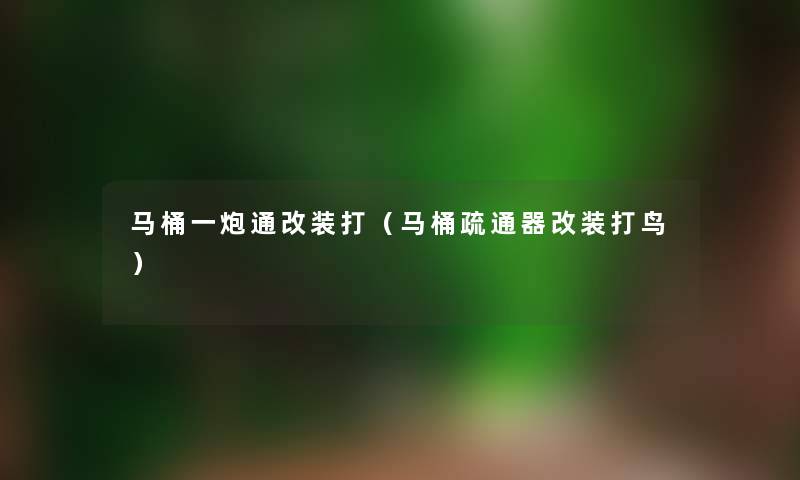马桶一炮通改装打(马桶疏通器改装打鸟) 马桶一炮通改装打(马桶疏通器改装打鸟)