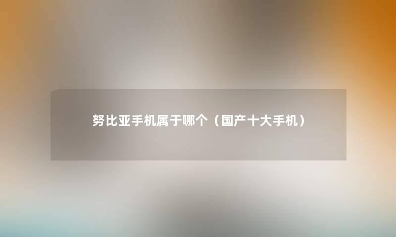 努比亚手机属于哪个（国产一些手机）