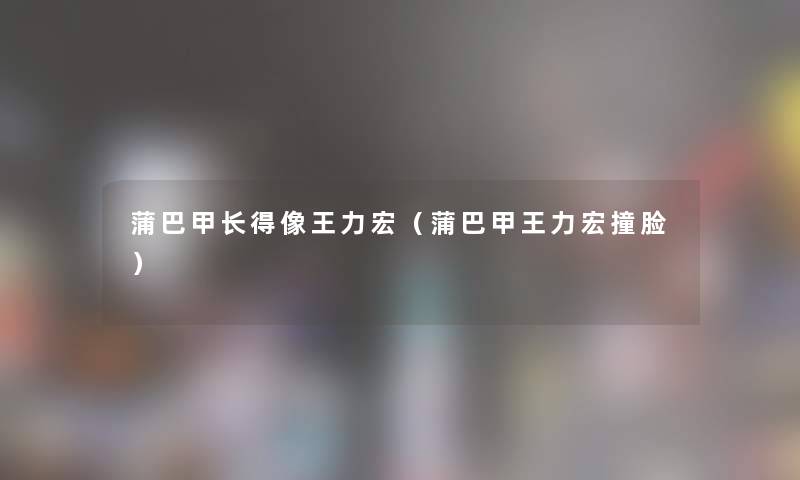蒲巴甲长得像王力宏（蒲巴甲王力宏撞脸）