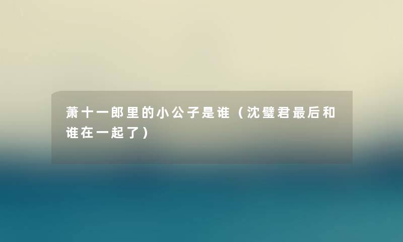 萧十一郎里的小公子是谁（沈璧君这里要说和谁在一起了）