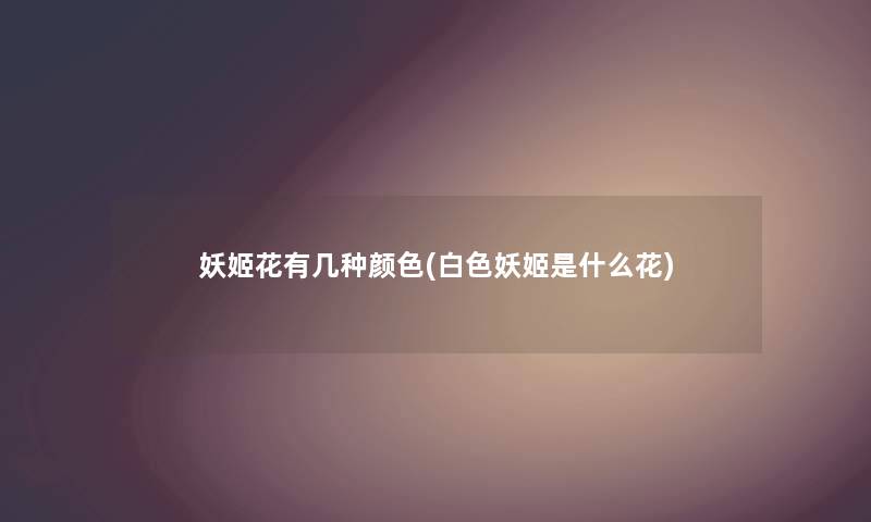 妖姬花有几种颜色(白色妖姬是什么花) 妖姬花有几种颜色(白色妖姬是什么花)