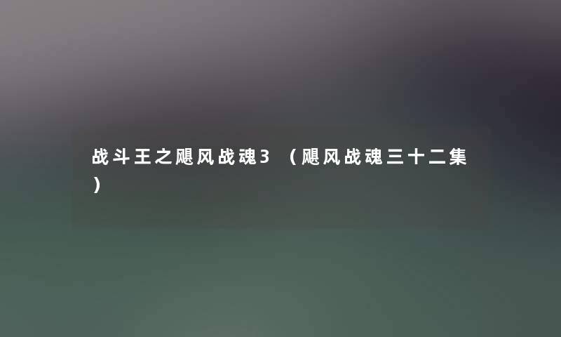 战斗王之飓风战魂3(飓风战魂三十二集) 战斗王之飓风战魂3(飓风战魂三十二集)