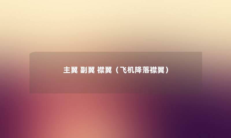 主翼 副翼 襟翼（飞机降落襟翼）